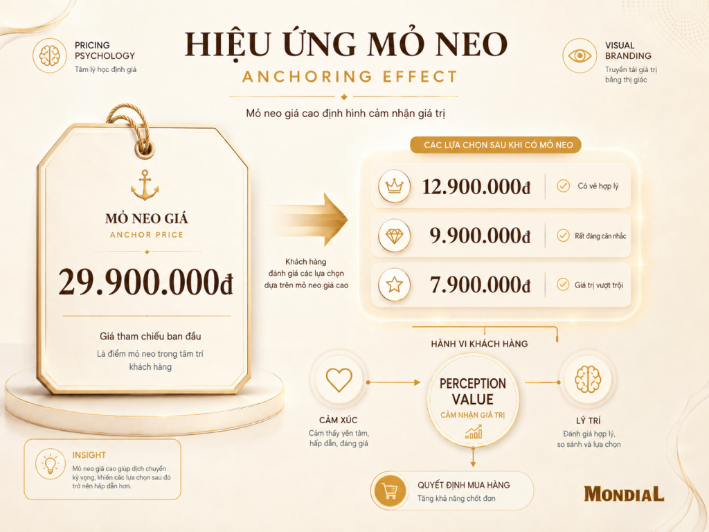Anchoring Effect là gì và vì sao liên quan trực tiếp đến thương hiệu?